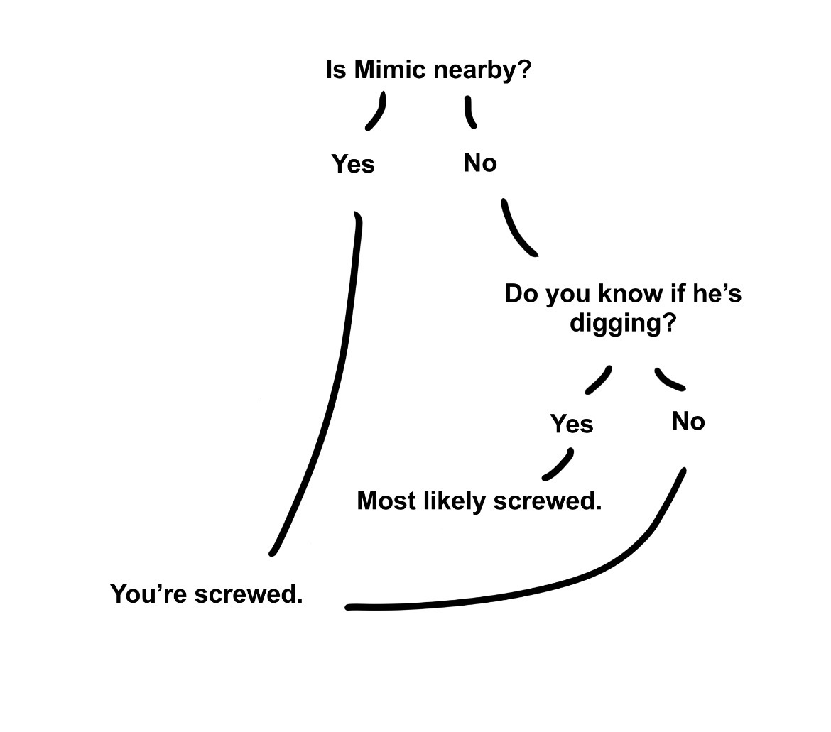 ─── ⋆⋅floof⋅⋆ ── tweet media