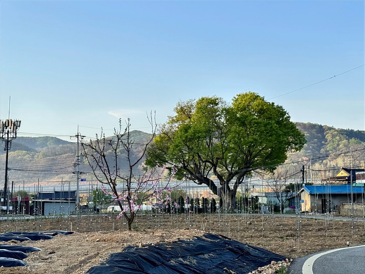 최상도 tweet media