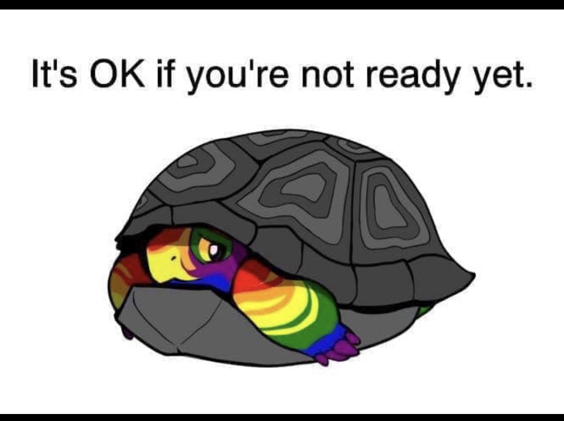 Dom King tweet media