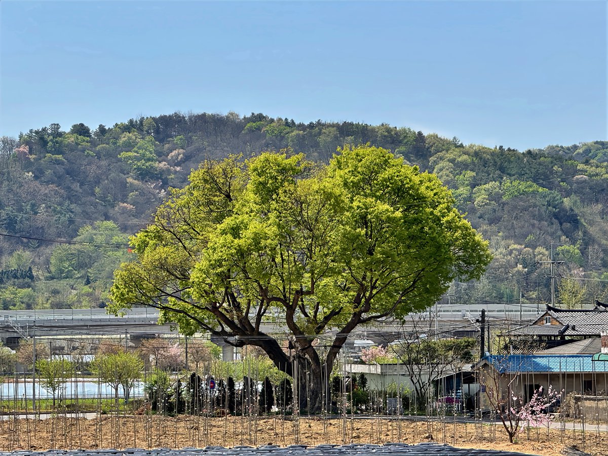 최상도 tweet media