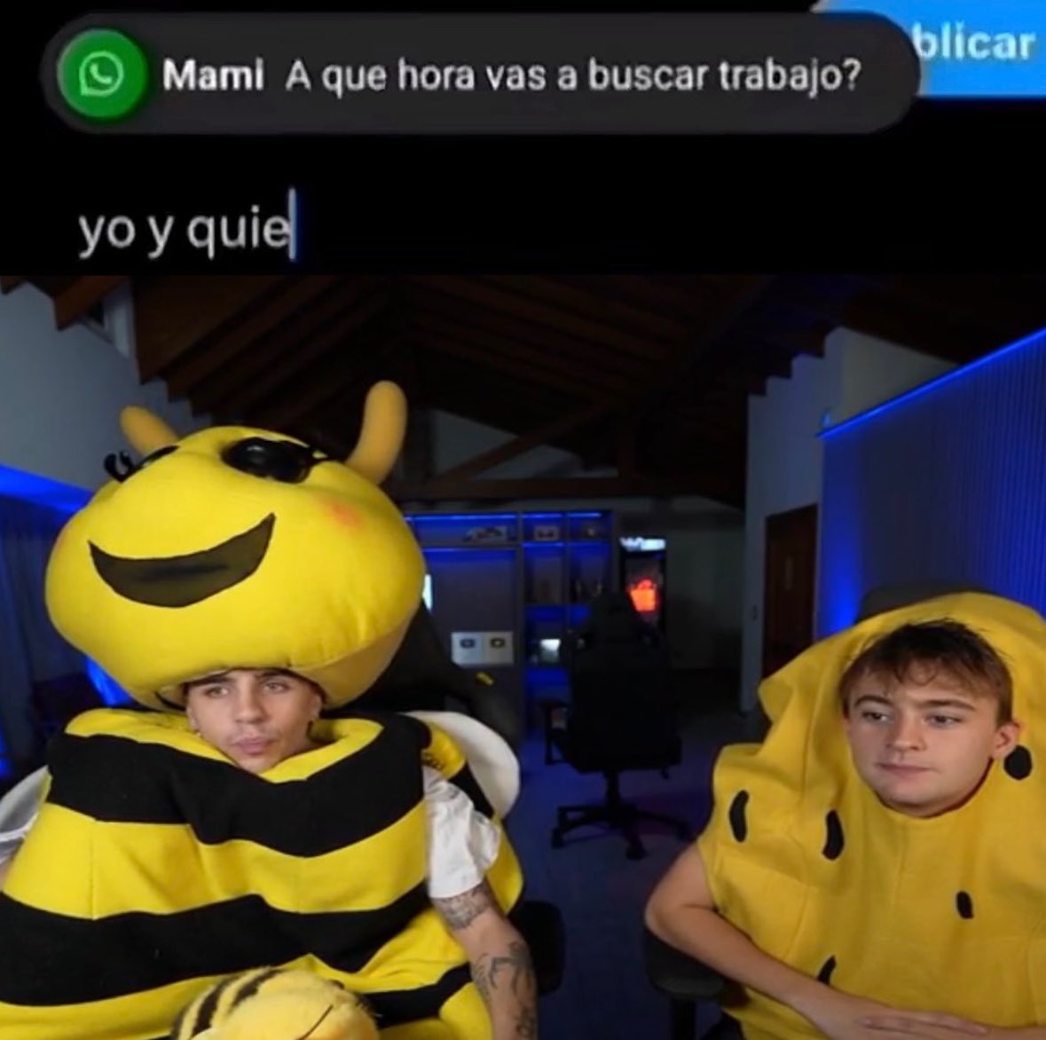 maichu ᶻ 𝗓 𐰁 tweet media