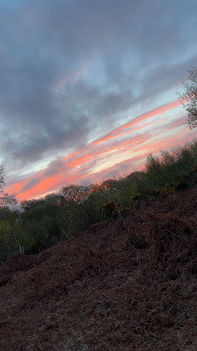 Kᴀɴᴇ tweet media