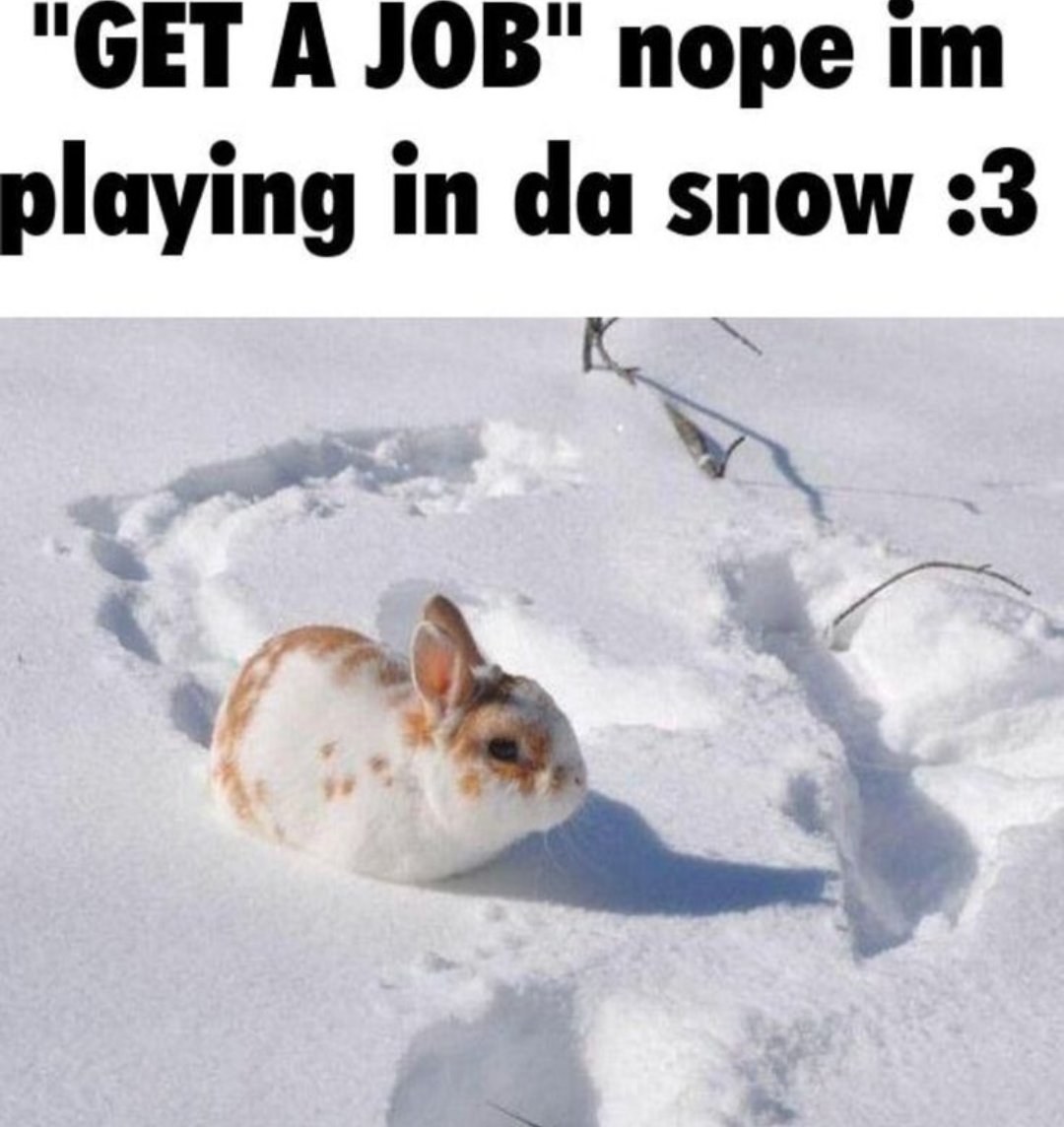 🐇Rose⚢🐇 tweet media