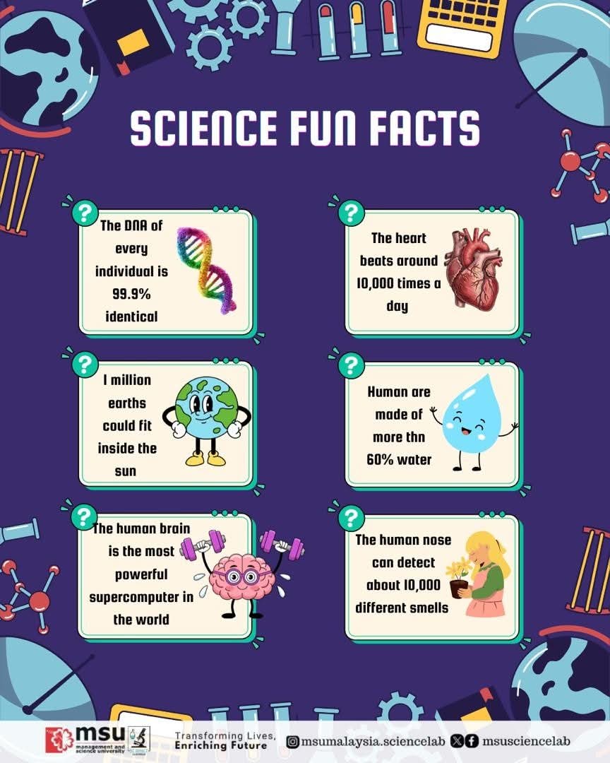 MSUsciencelab's tweet image. ✨ The world is full of wonders — and science helps us understand every single one of them! 🧠💧❤️ From the power of the human brain to the vastness of our Sun, keep questioning, keep exploring! 🚀 

#msusciencelab #ScienceFunFacts #MSUMalaysia #EnrichingFuture #KnowledgeIsPower