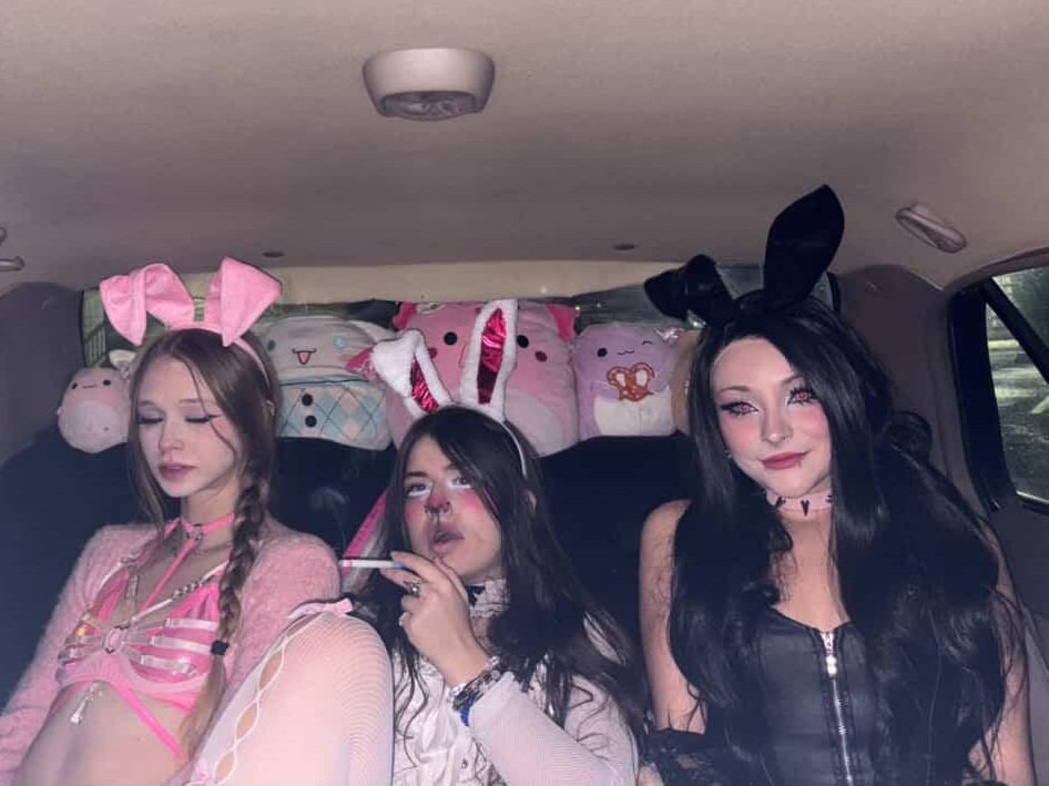 Corpse Kitten tweet media