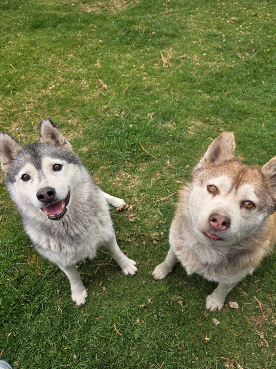 Fundacion Tomy tweet media