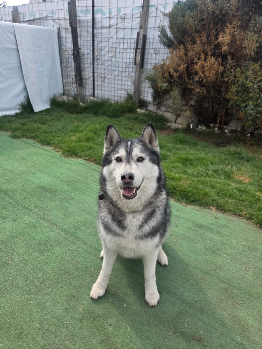 Fundacion Tomy tweet media