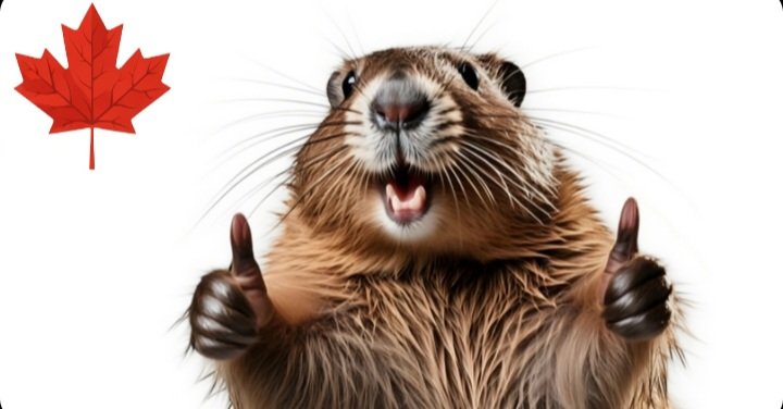 Mike Angelle ⬛⬜⬛⬜⬛⬜ tweet media