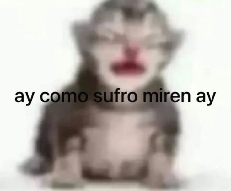 Erick en 144p tweet media