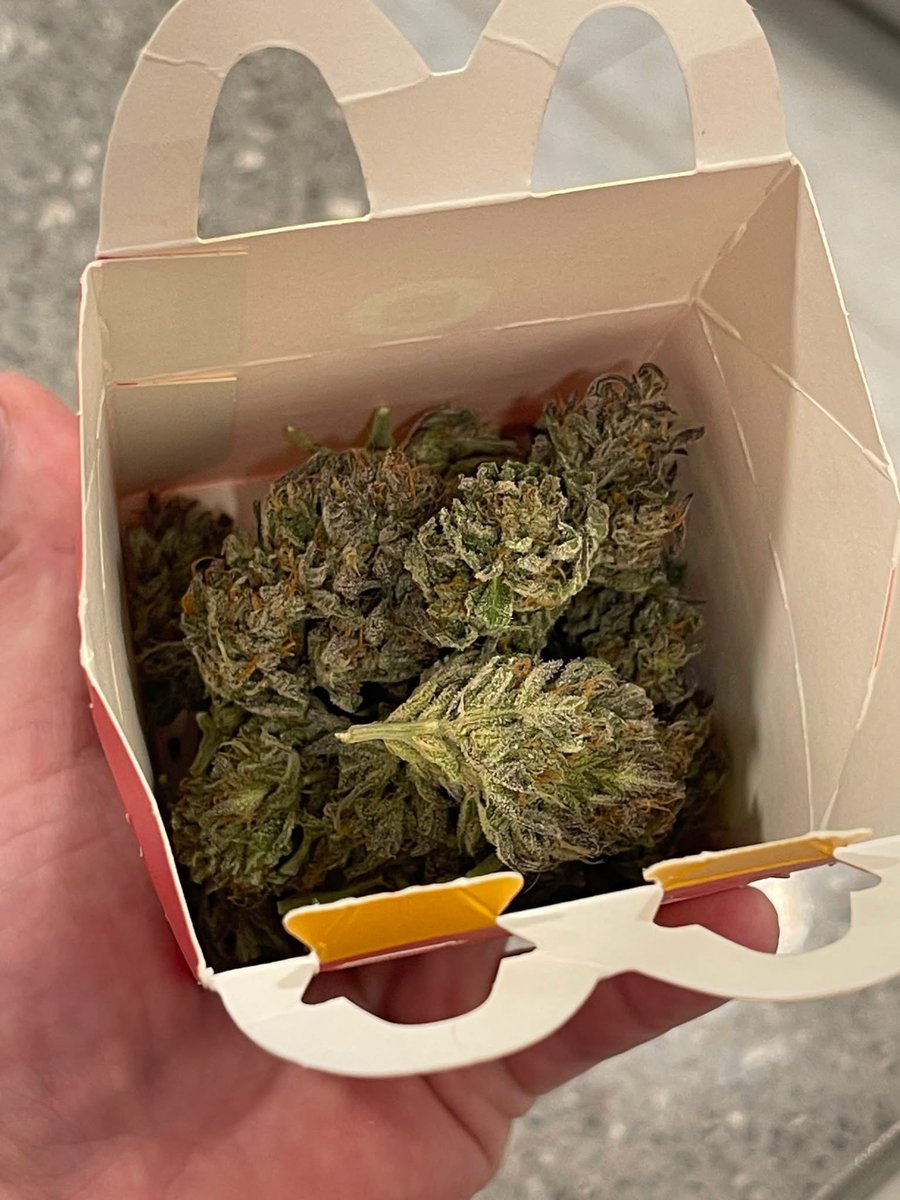 STONERS R US 🍃 tweet media