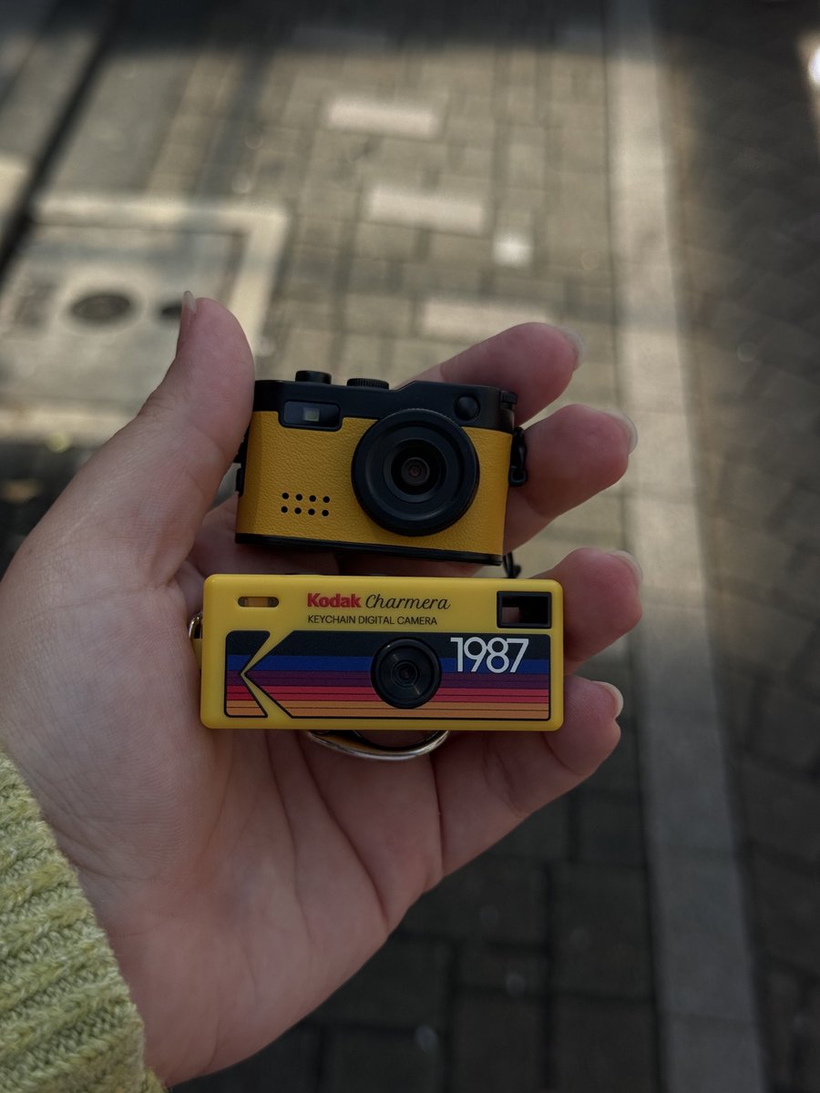 bearirang tweet media