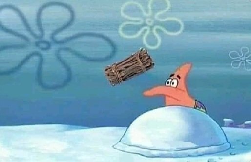 Otto remer tweet media