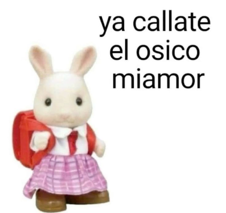 Erick en 144p tweet media