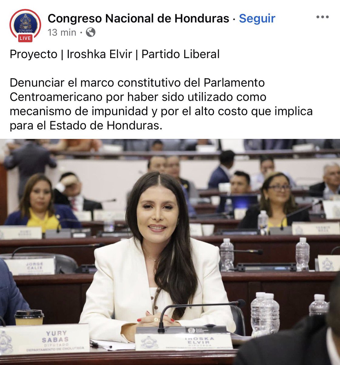 Iroshka Elvir Diputada tweet media