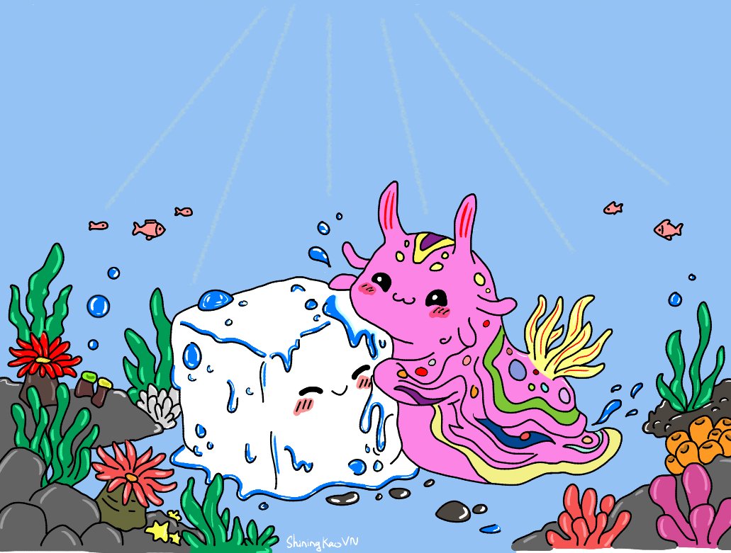 Kao Supassra Vietnam Fanblog tweet media