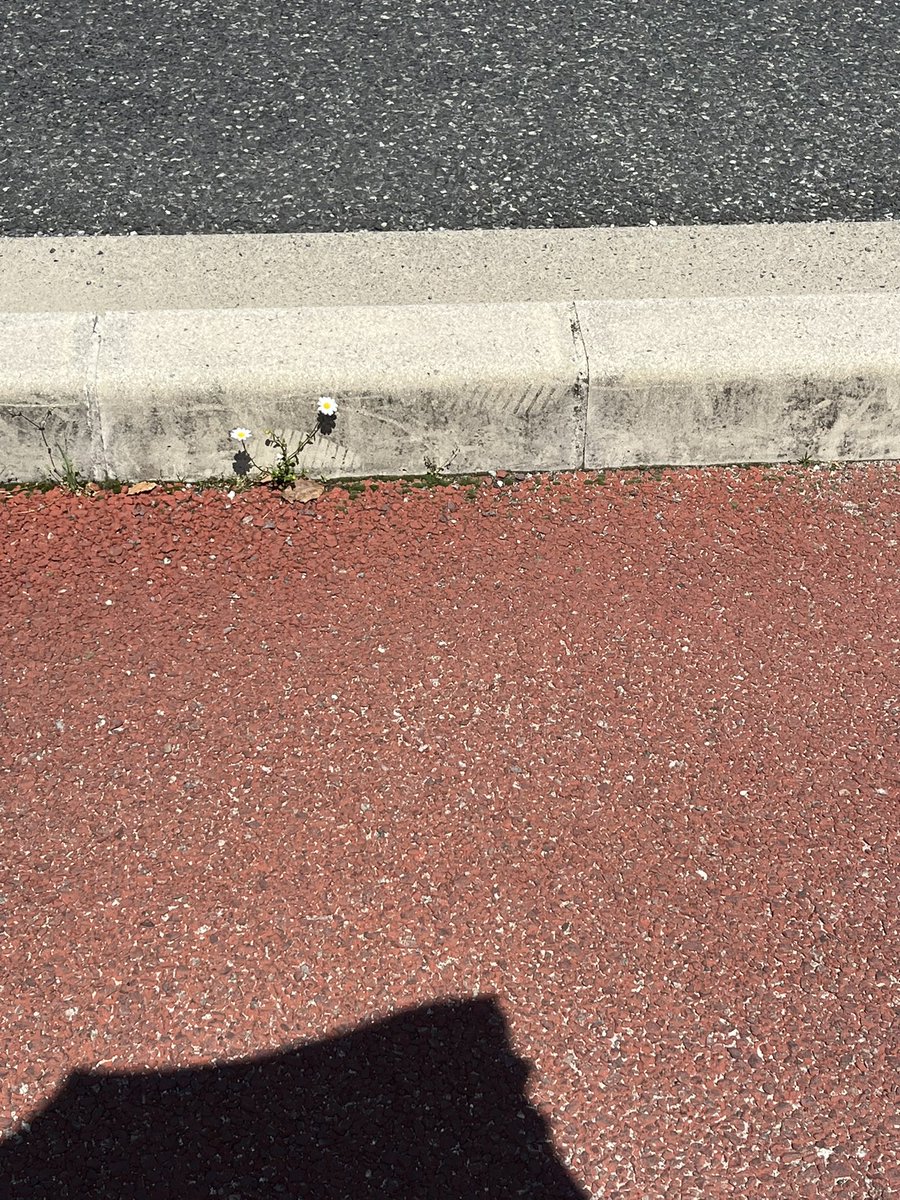 深田永眠 tweet media