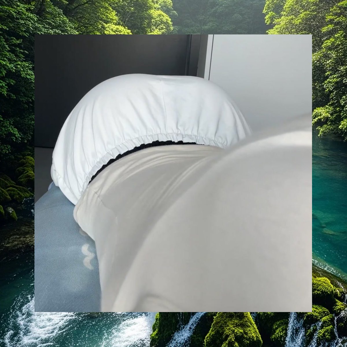 Stephen Olson tweet media