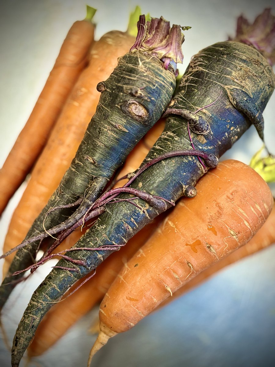 カ・リーベ🍛与論島のカレースナック tweet media