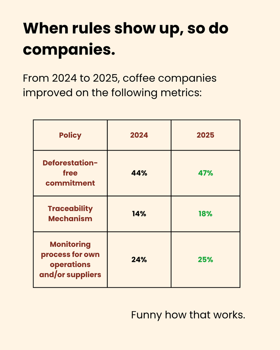 coffeewatchorg's tweet photo. Companies: “We’re working on it.”

Also companies (when regulation shows up): suddenly working on it ☕🌳

The data is clear—EUDR is already driving action.

The problem? Most coffee companies are still nowhere near deforestation-free.

So no, voluntary commitments weren’t enough.

We need the EUDR. Now.

🔗 Forest 500 report by Global Canopy: https://t.co/oHVPiWwzLb