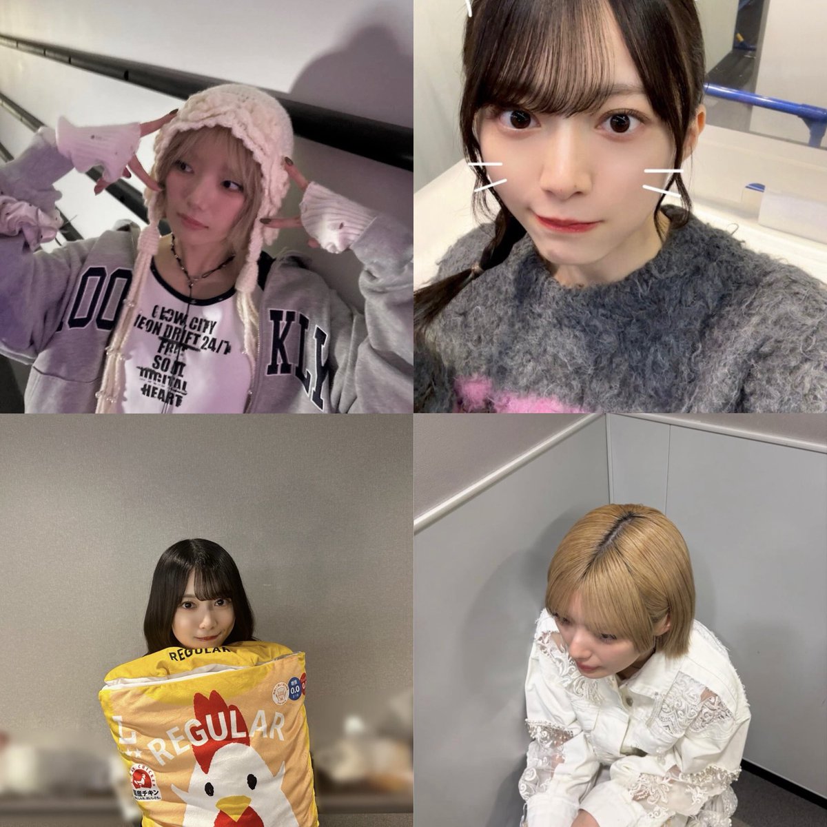 なら🎐🦉🐈 tweet media