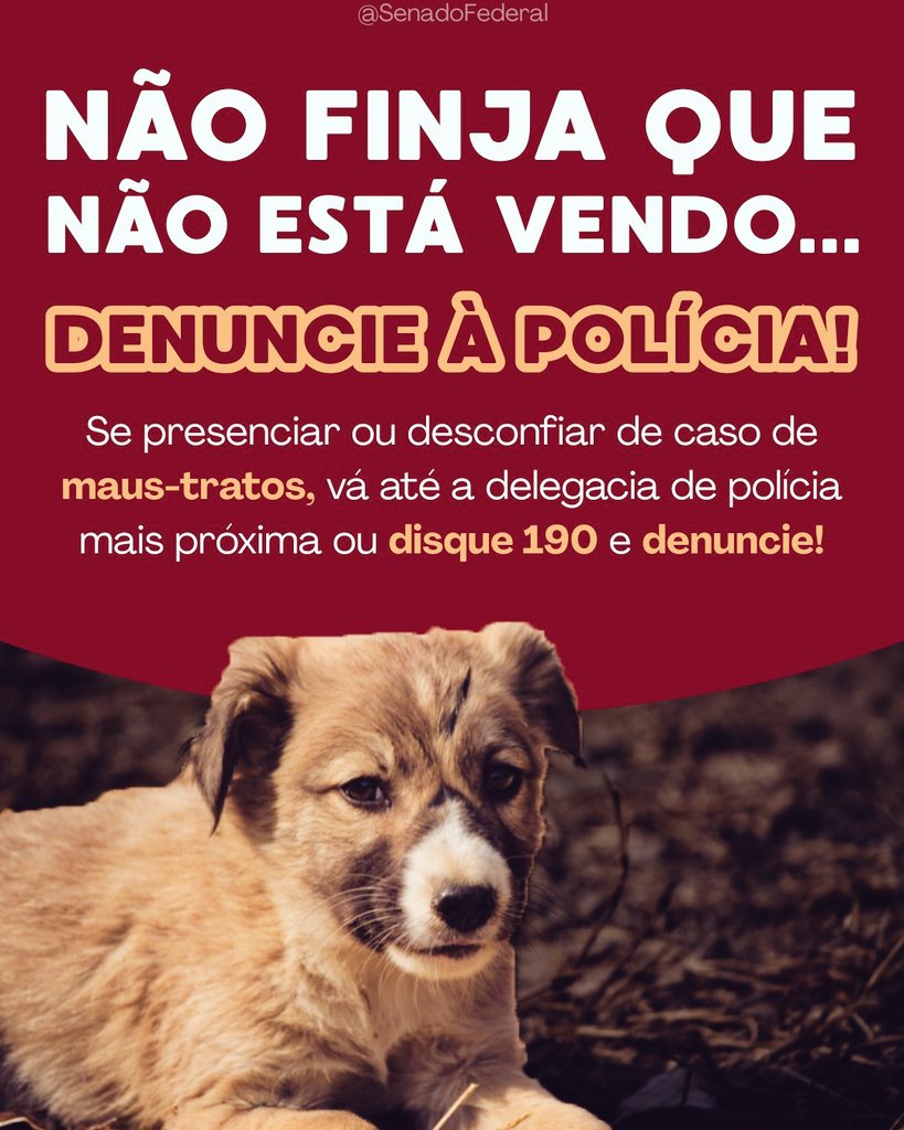 SOSFAMILIASBR's tweet photo. Denuncie os maus-tratos! https://t.co/lAlAGQusdG