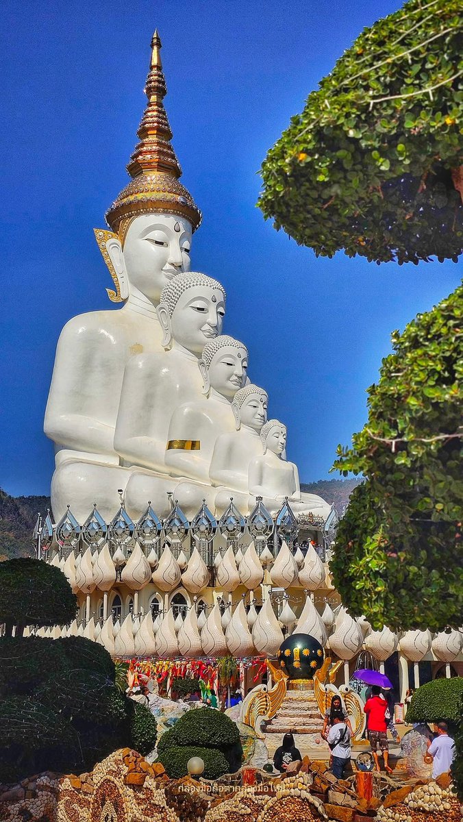 BBeer1989 (สำรอง2) tweet media