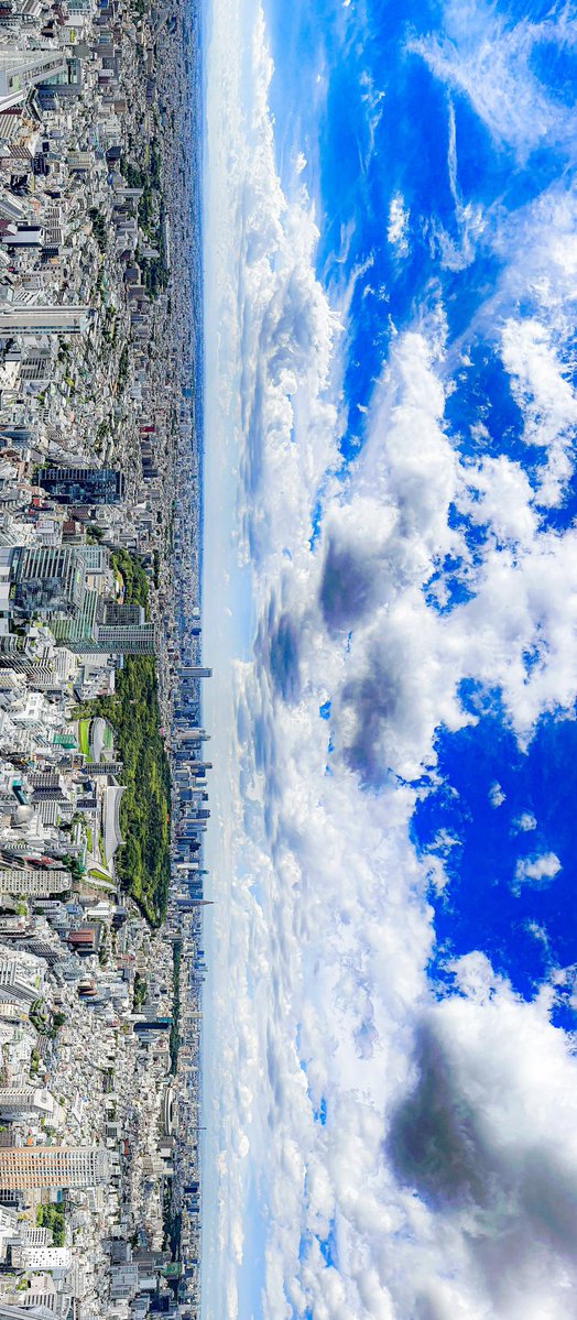 あほたれ tweet media