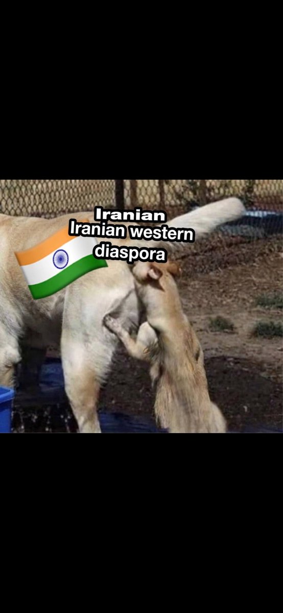 Souljah Sambo tweet media