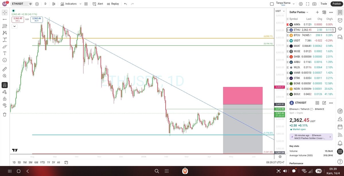 mybabybear tweet media