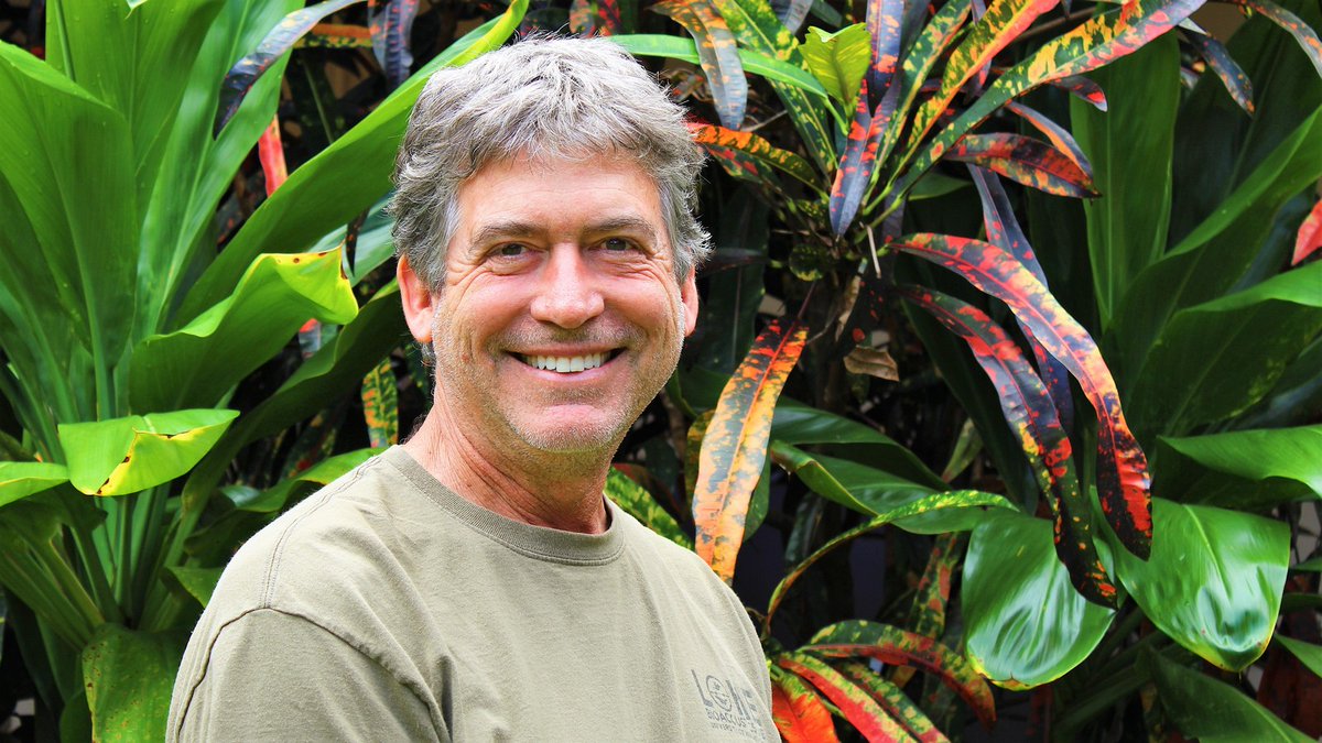 University of Hawaii at Hilo tweet media