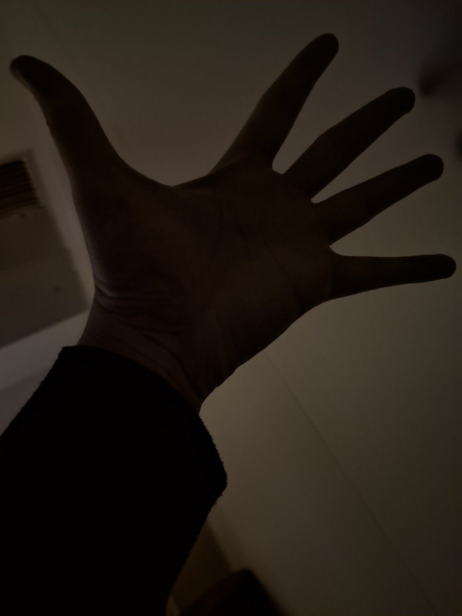 chernolover tweet media