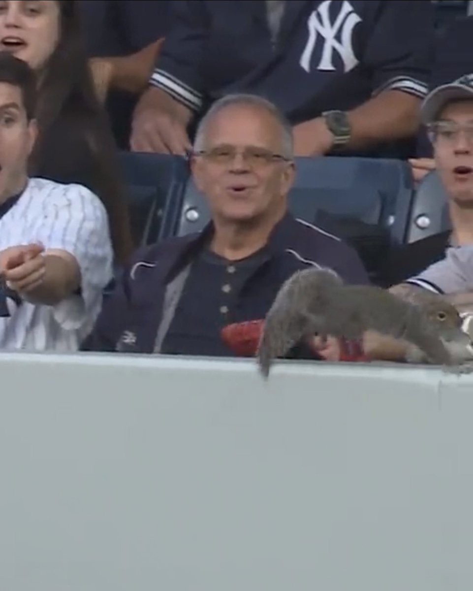 T★SHOUT ♱ tweet media