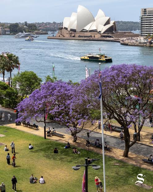 Pau Bouchot tweet media