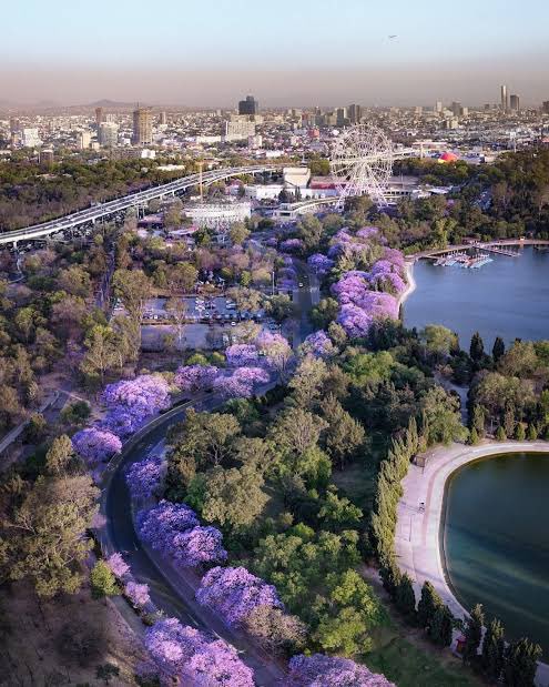 Pau Bouchot tweet media