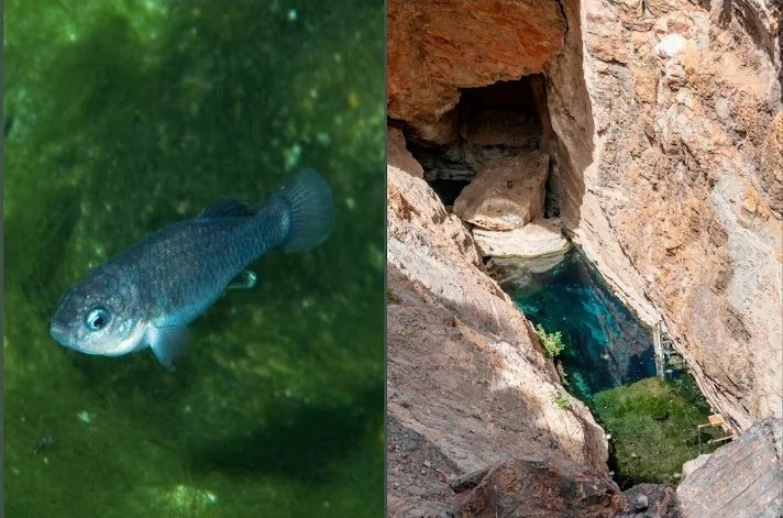 🍂pracklyy⚓ tweet media