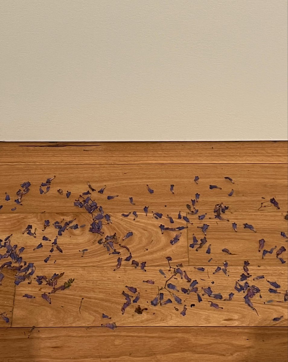 Pau Bouchot tweet media