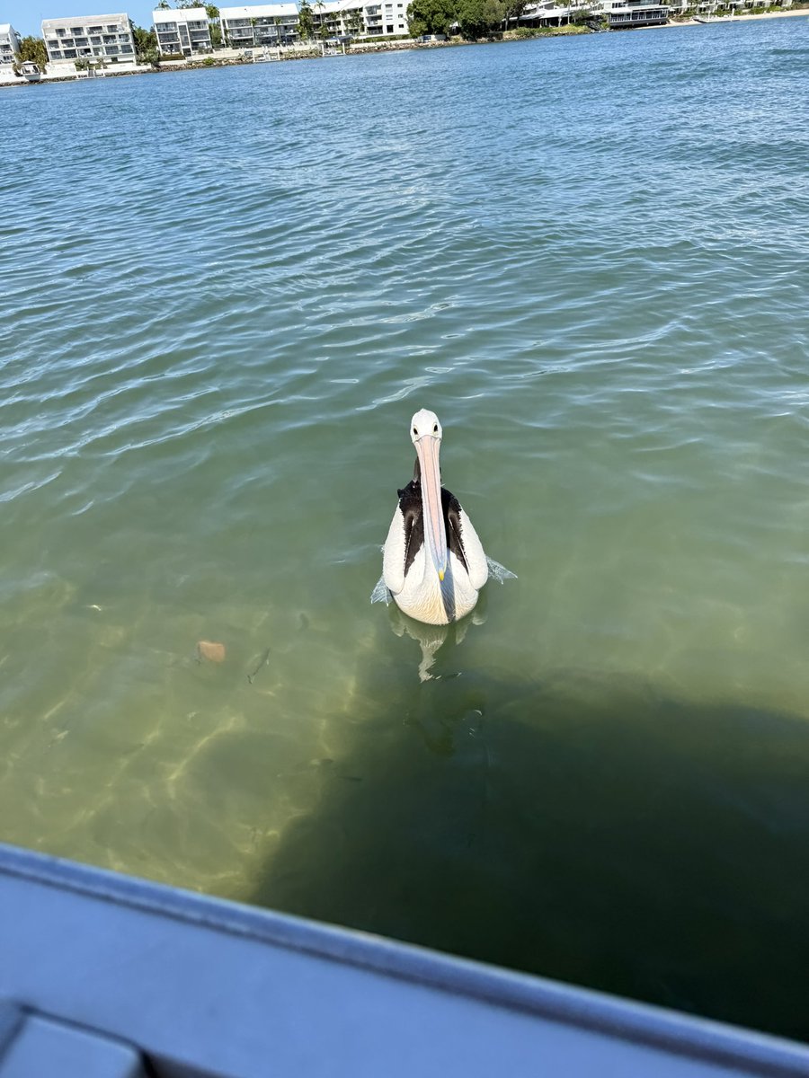 𓂋🪽 tweet media