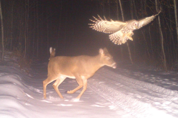 John fawn tweet media