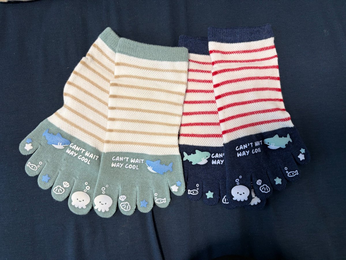 イルカちゃん🐬（キタムラアイ）→デザイナー＆海洋生物専門イラストレーター tweet media