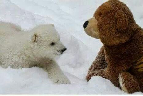 You need your friends!!!!