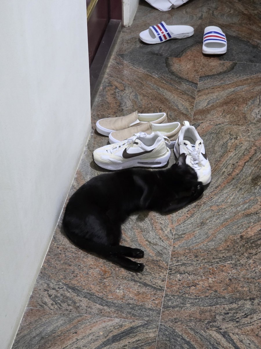 Emil Chou@台灣G+遺民 tweet media