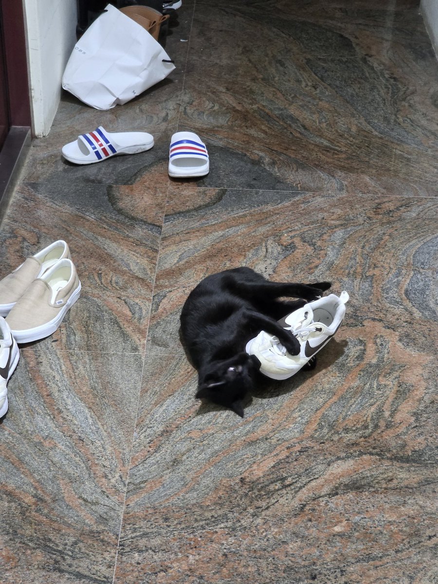 Emil Chou@台灣G+遺民 tweet media