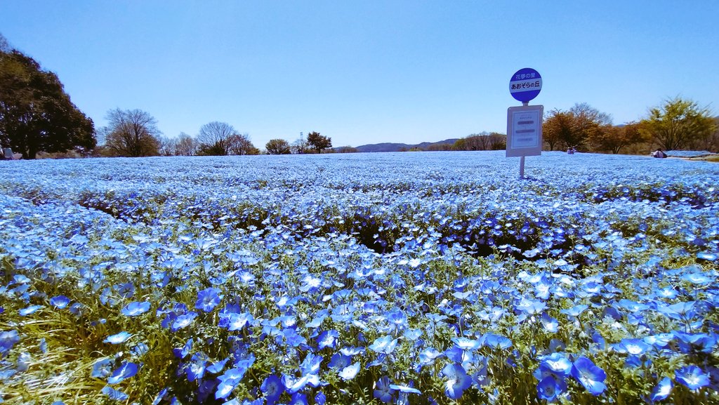 シナモン🐝🌻🌻 tweet media