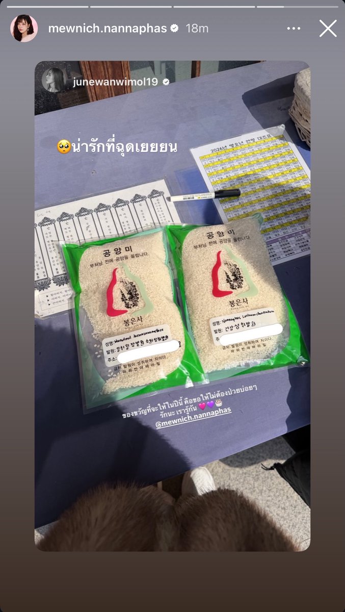 little cat tweet media