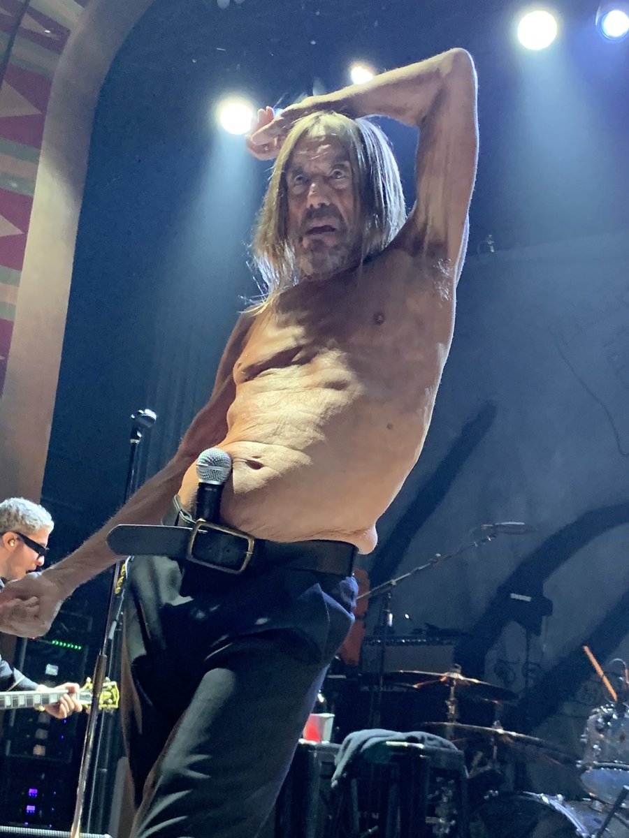 世田谷猫 tweet media