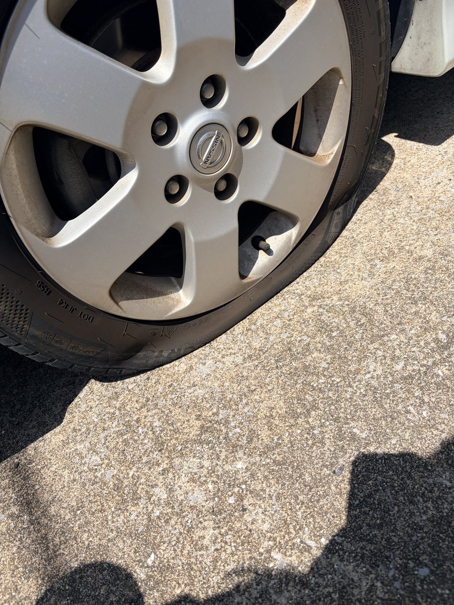 F.Tさやか/さや姉🐒🐦🏍🐼 tweet media