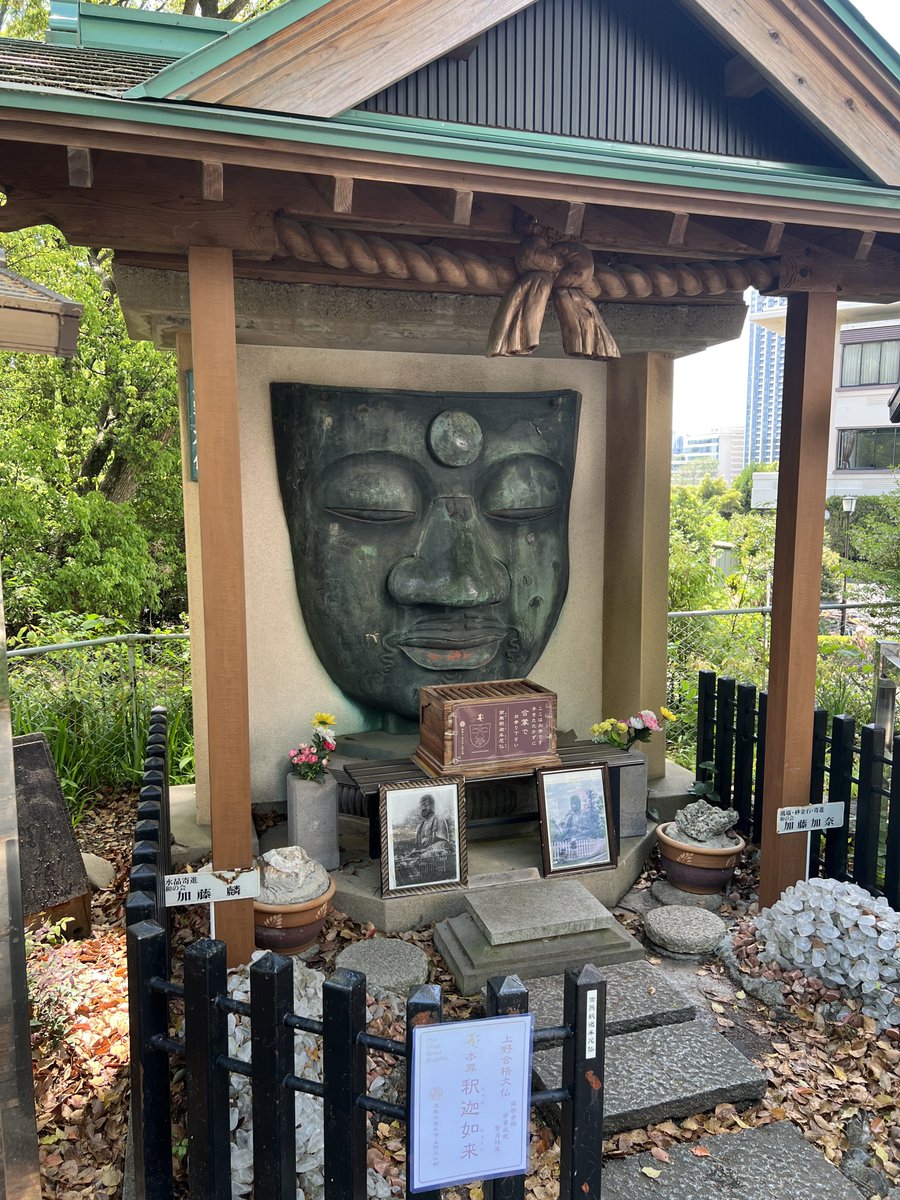 SVS・cheru🌐🖋 tweet media