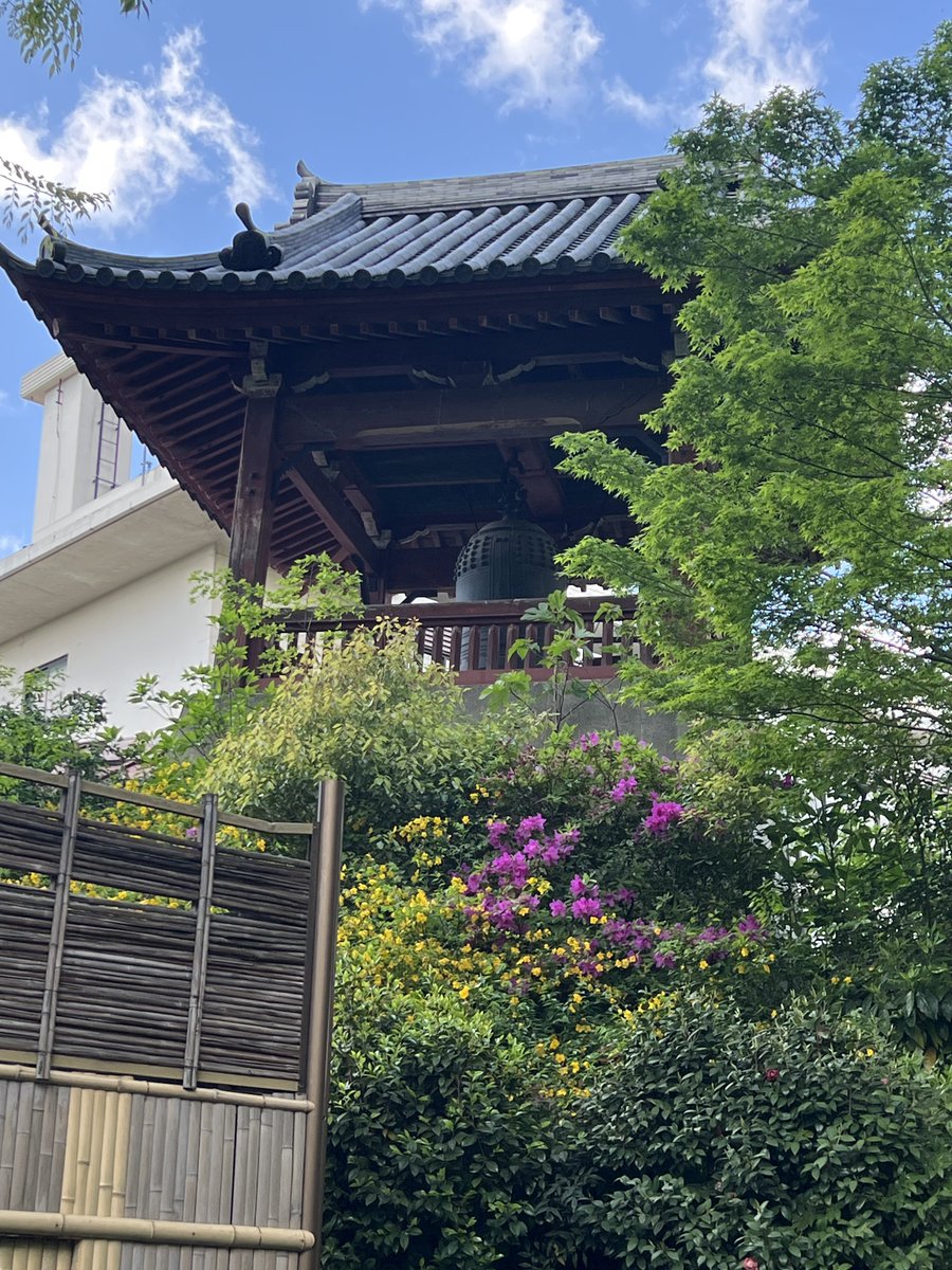 SVS・cheru🌐🖋 tweet media