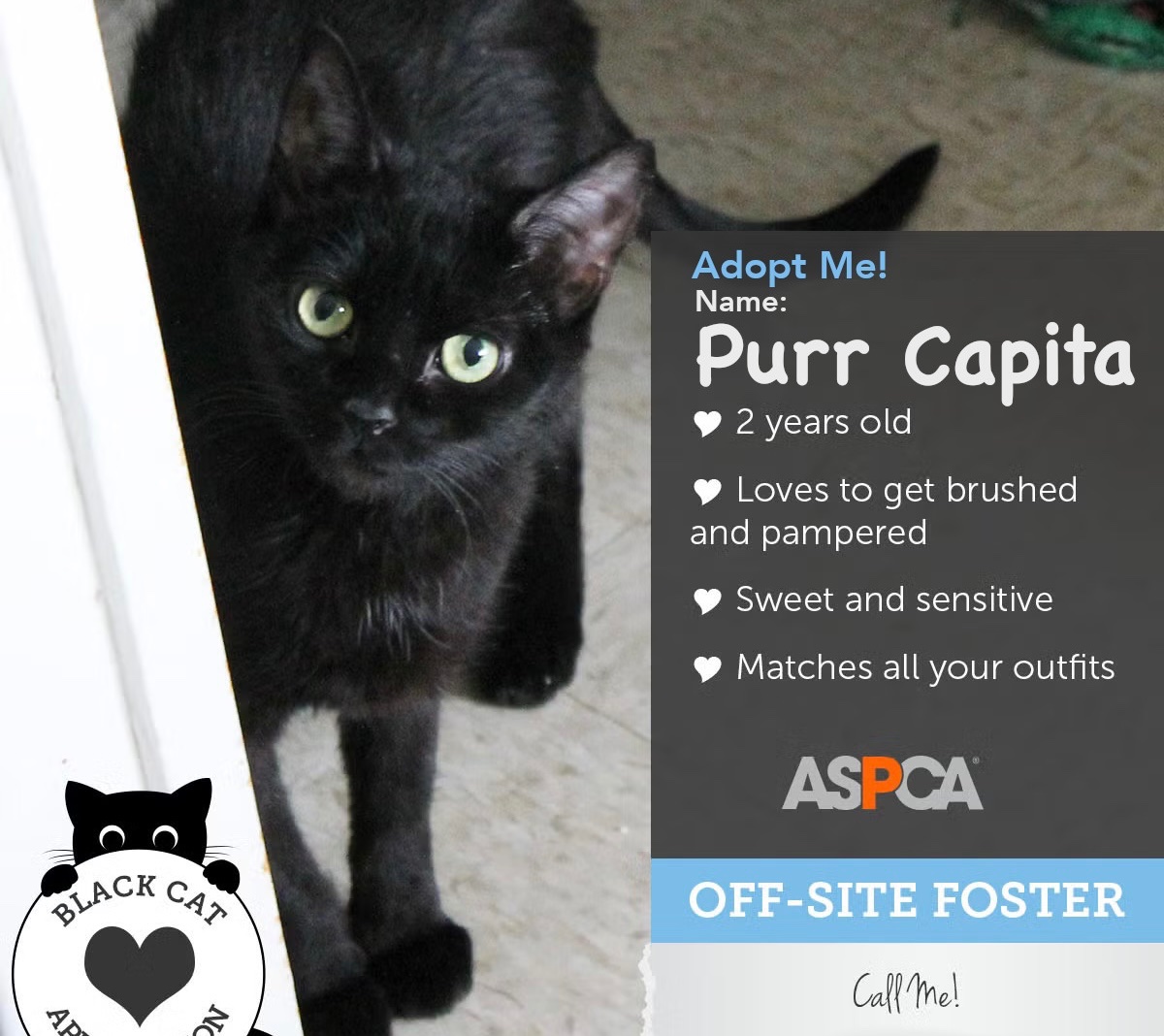 Tracey Emin's Trace Amines tweet media