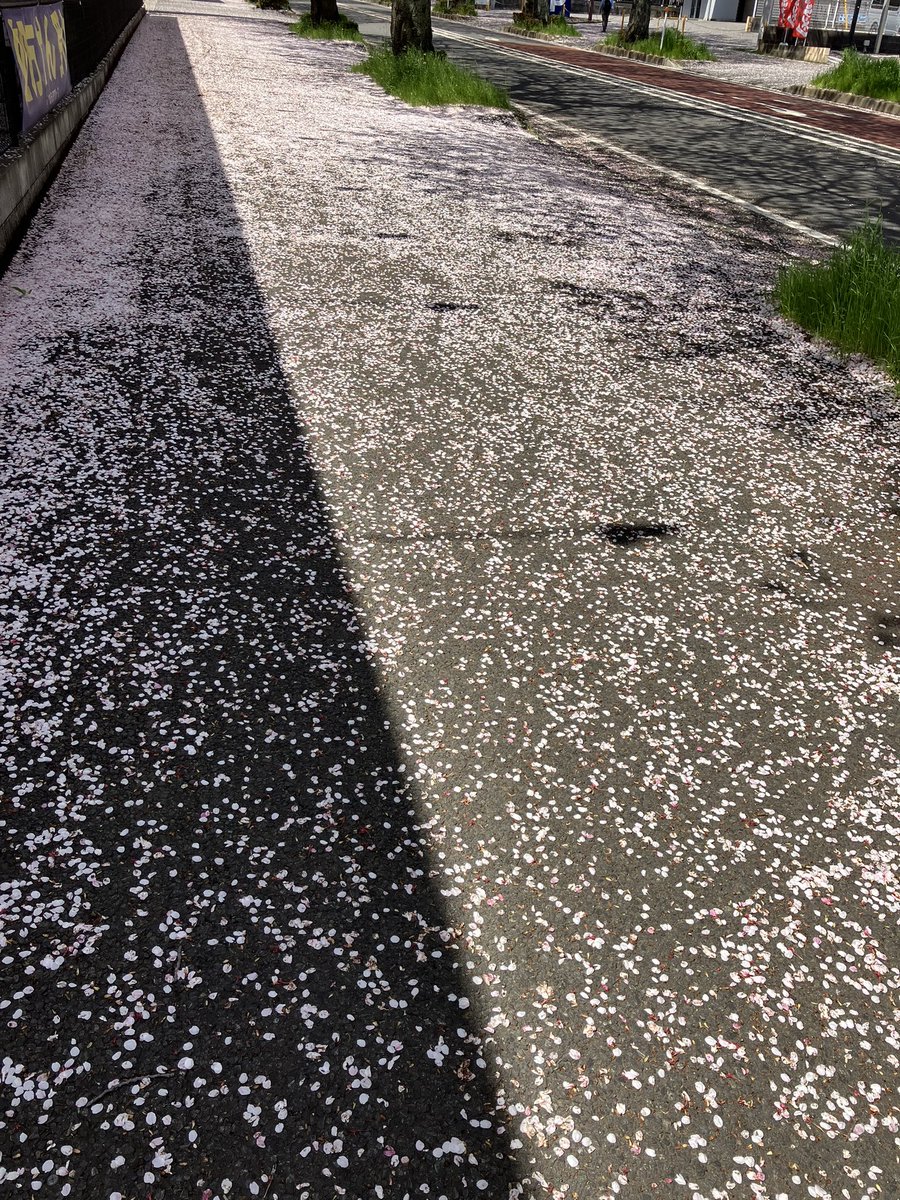 小田 敏充 tweet media